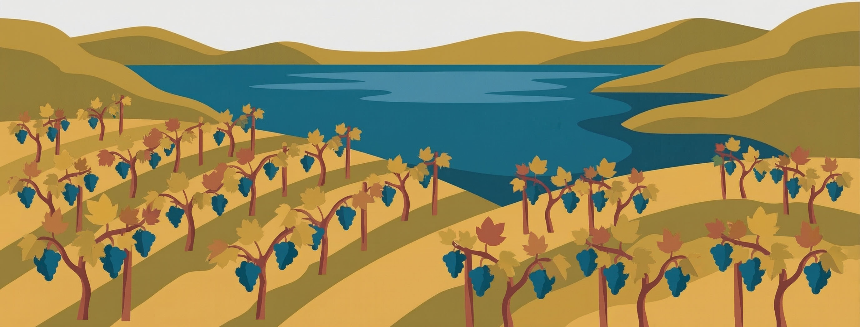 Panorama Winnicy Niebō